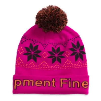 Kids' The North Face Alpine Beanie