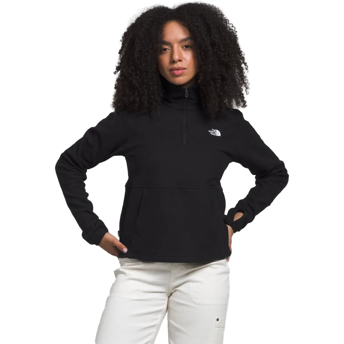 The North Face Alpine Polartec 100 1/4 Zip Cowl - Women's